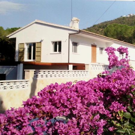 Villa Felices Juntos Кастел Пладжа де Аро Екстериор снимка
